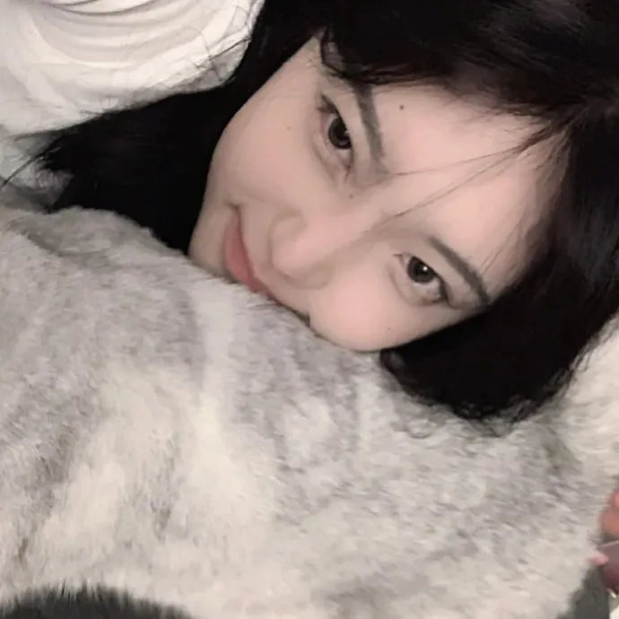 大地飞鹰 在线观看